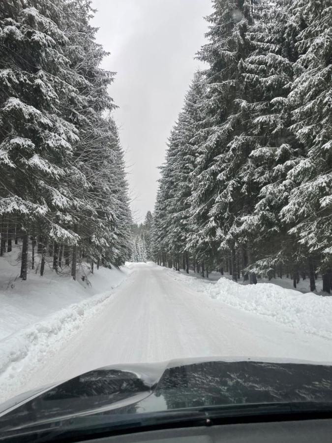 Chata Veverička Oravská Lesná Exterior foto