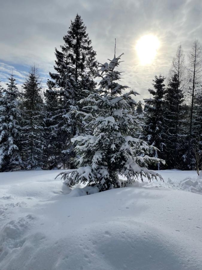 Chata Veverička Oravská Lesná Exterior foto