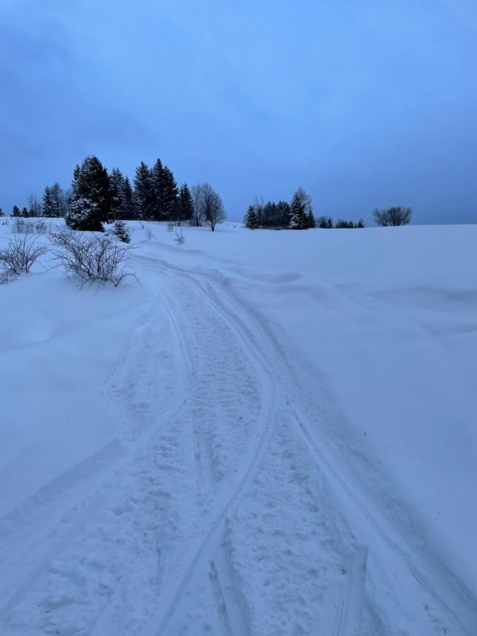Chata Veverička Oravská Lesná Exterior foto